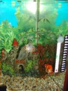 "Blimey where did this lot come from!"